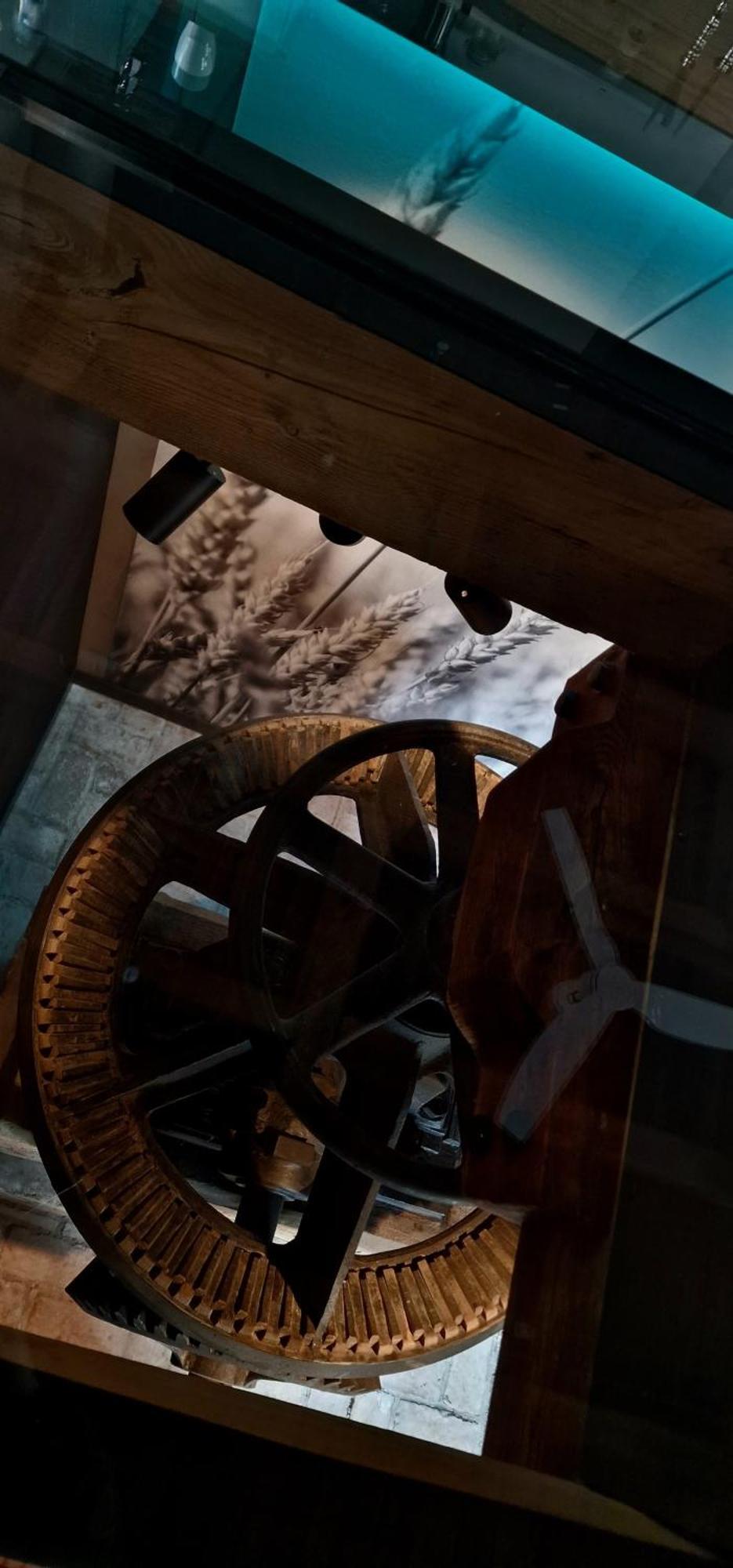 Die Mühle Appartements Samtens Exterior foto
